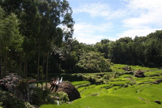 Tana Toraja